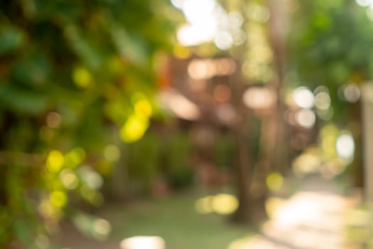 Blur nature bokeh green park by the beach and tropical coconut trees in sunset time photo