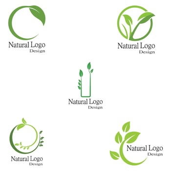 Leaf icon Vector Illustration design Logo template set