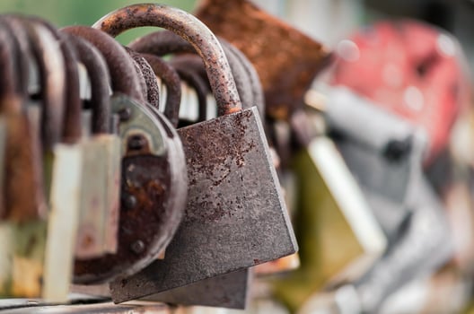 Old locks on fence photo