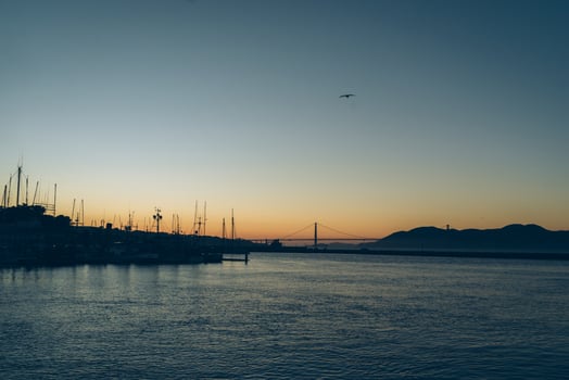 Seagull flying over the ocean in San Francisco photo