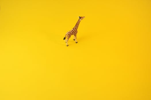 Giraffe isolated on yellow background photo