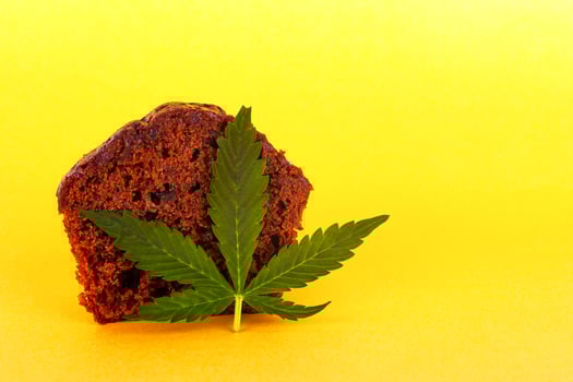 Chocolate muffin cake with marijuana on yellow background photo