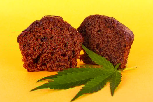 Chocolate muffin cake with marijuana on yellow background photo