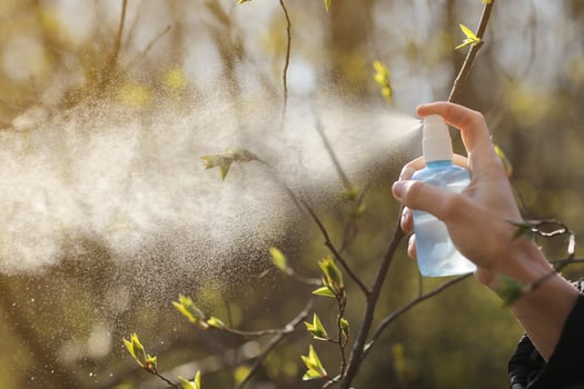 Female hands holds container and sprays tree branch with buds against bright sunlight in garden. Care and treatment of plants. Selective focus. photo