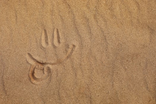 Smiley face with tongue out made by finger on a sandy beach photo