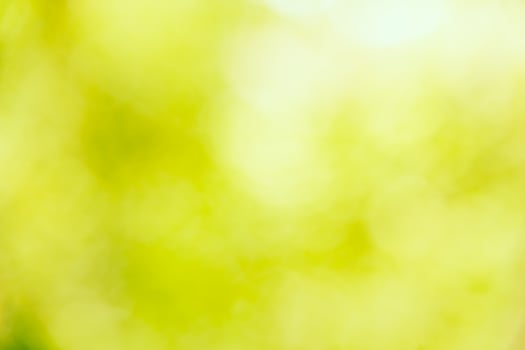 Abstract blur green bokeh background photo