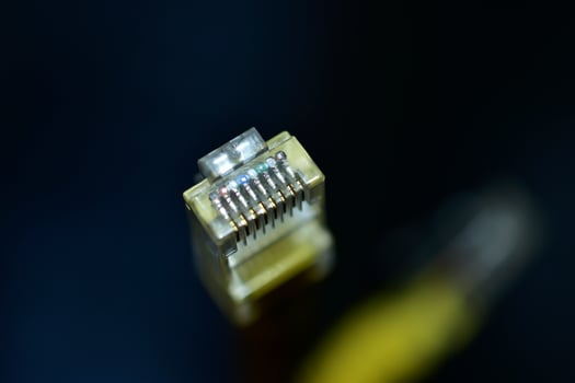 Ethernet internet cable close-up photo