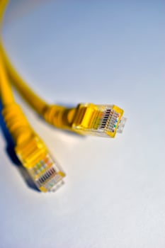 Ethernet internet cable close-up photo