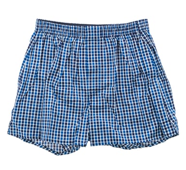 Short underwear and boxer pant for men photo