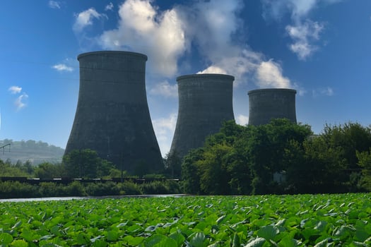 Thermal power plant next to lotus plants in a lake in Artyom, Primorsky Krai, Russia photo