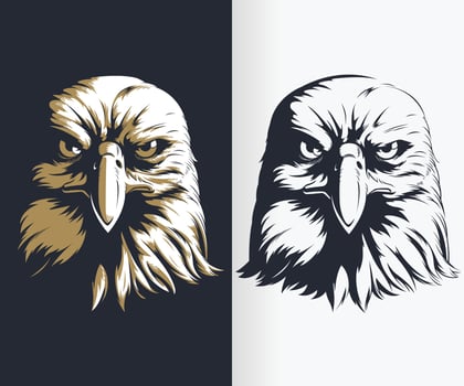 Silhouette Eagle Head Front Stencil Drawing Vector Illustration set