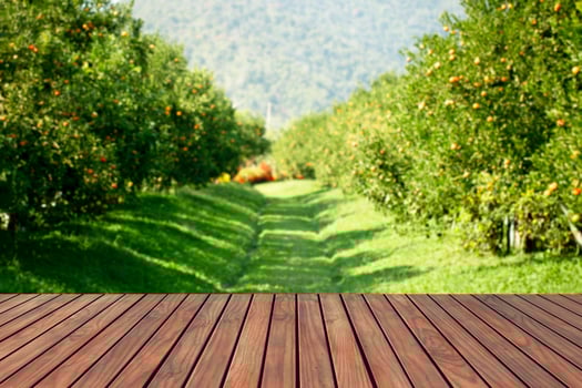 Wood top table with an orange farm background. Can be used to display or montage your products. photo
