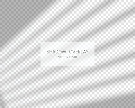 Shadow overlay effect. Natural shadows from window isolated on transparent background. Vector illustration.