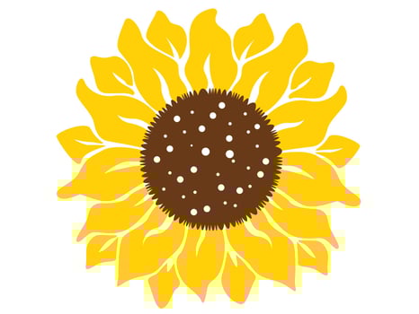 Sunflower isolated on white background. Boho tribal print.Flat design illustration vector
