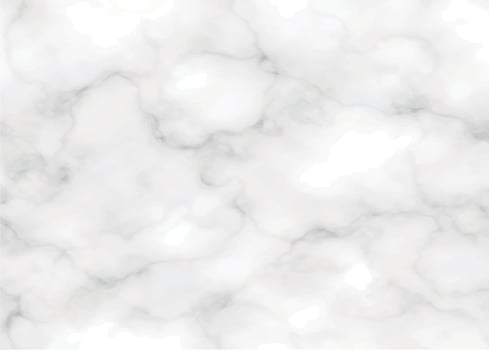 real grayscale marble texture background vector