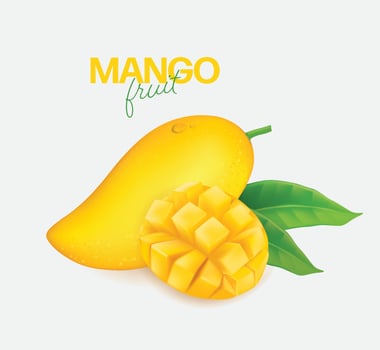 Fresh mango with slices and leaves illustration vector