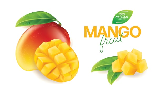 Fresh mango with slices and leaves illustration vector