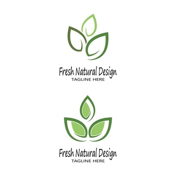 Mint leaves flat vector color icon template illustration design