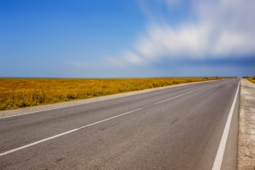 A long highway with no cars on the overgrown grass photo