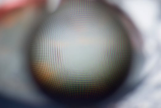 Abstract background in blur. photo