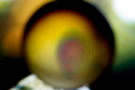Abstract background in blur. photo