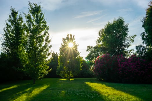 Natural background with green lawn photo