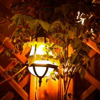 Yellow lantern on the background of the wall and leaves photo