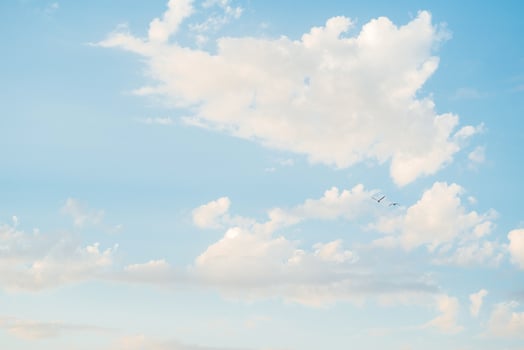blue sky with white clouds and soaring black birds photo