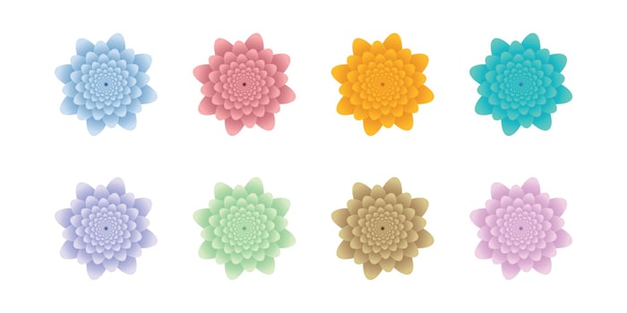 set of flower vector illustration design