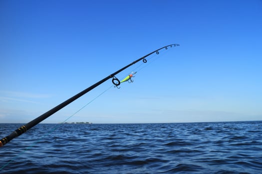 Rod with crank bait for catching predatory fish photo