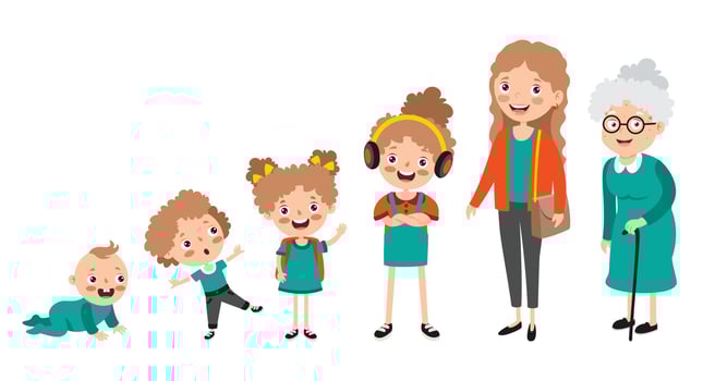 A Person In Different Ages vector