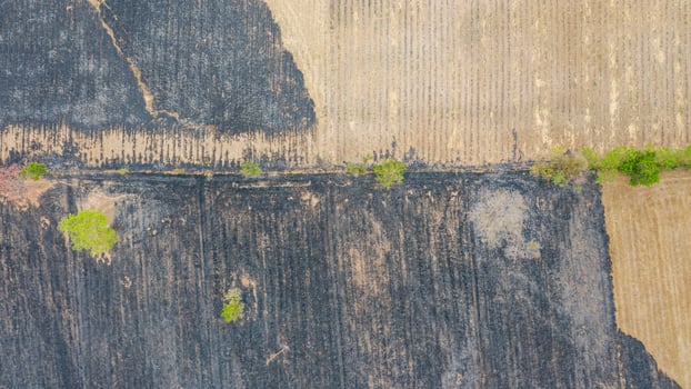 Aerial view over burning rice field after harvesting photo