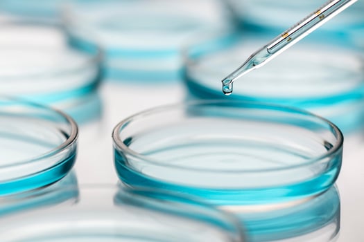 Petri dishes in medical lab with dropper photo