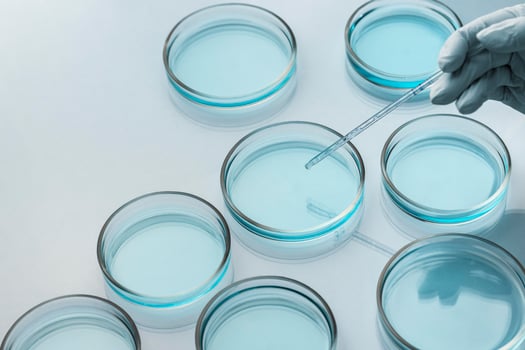 Petri dishes in medical lab with dropper photo
