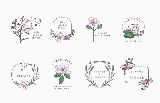Beauty magnolia object collection vector