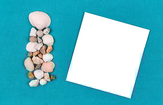 Sea shells laid out on a trendy aqua blue background with an empty place for text photo