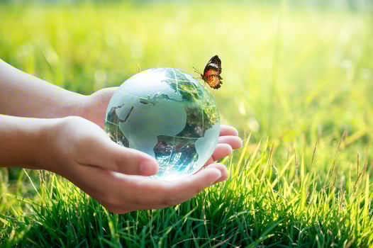 Concept of save the world, save the environment photo
