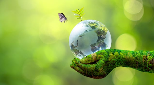Concept of save the world, save the environment photo
