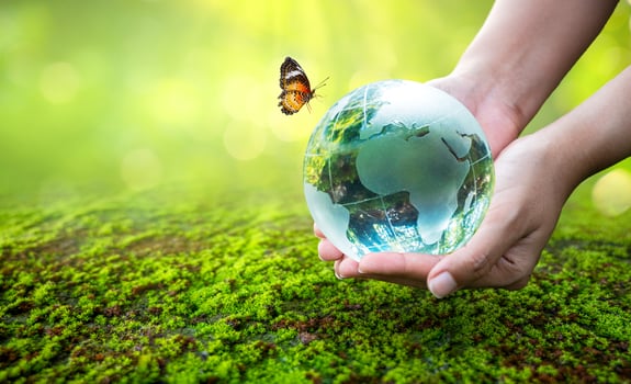 Concept of save the world, save the environment photo