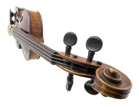 Old dark brown antique Violin isolated on white photo