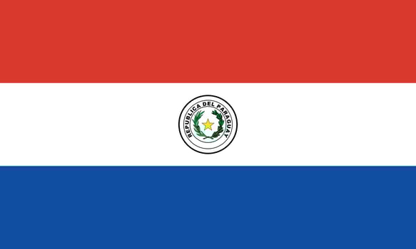 vector illustration of Paraguay flag