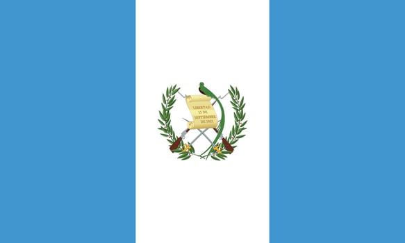 vector illustration of Guatemala flag
