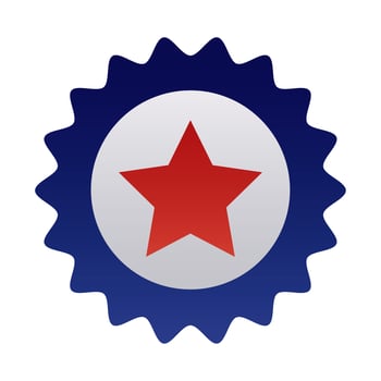 seal lace with star degraded style vector
