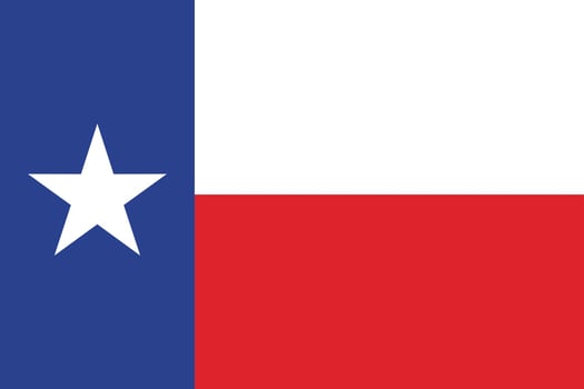 Texas officially flag vector