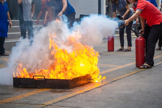 Employees firefighting training photo