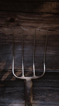 Pitchfork on the background of the old wooden brown wall photo