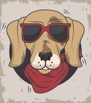 funny dog with sunglasses cool style vector