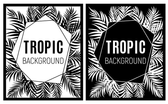 Beautiful Palm Tree Leaves Tropical Silhouette Background vector