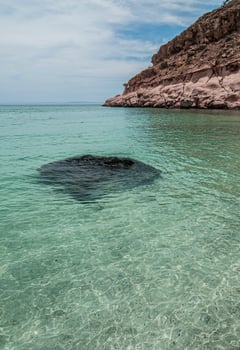 Isla Espiritu Santo, La Paz, Baja California photo