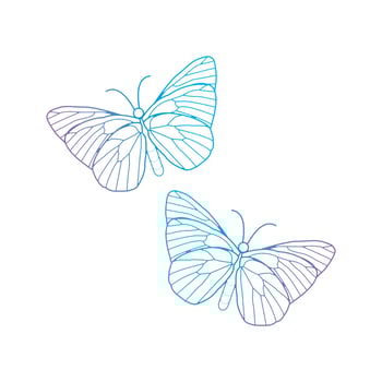 butterfly vector outline